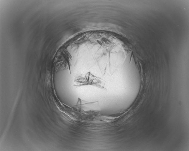 X0000080671505200701050955