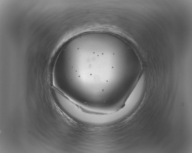 X0000080671506200701050955