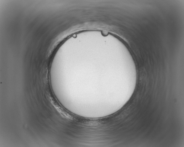 X0000080671507200701050955