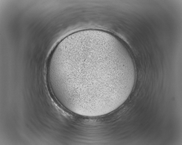 X0000080671508200701050955