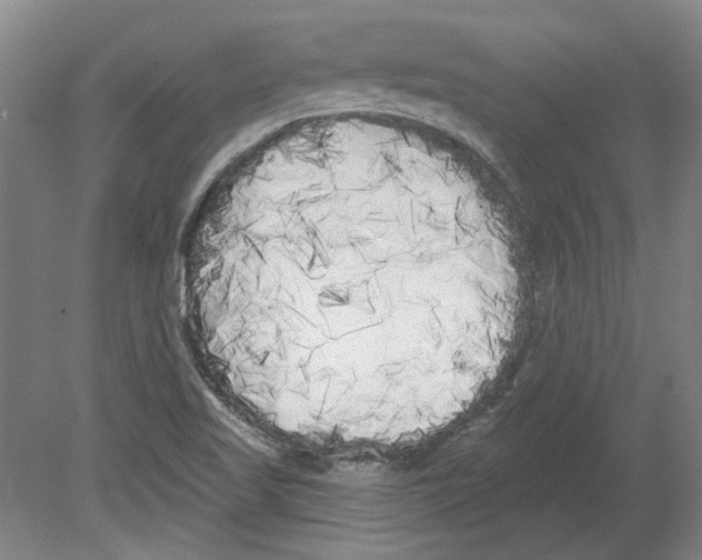 X0000080671509200701050955