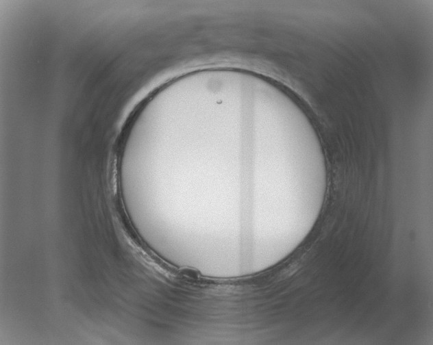 X0000080671510200701050955