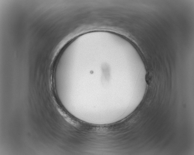 X0000080671511200701050955