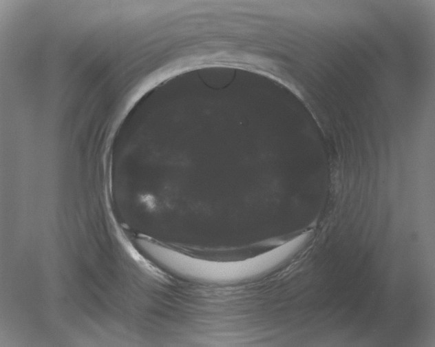 X0000080671515200701050955