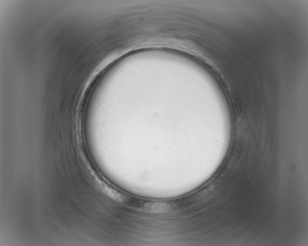 X0000080671517200701050955