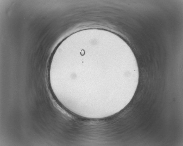 X0000080671518200701050955