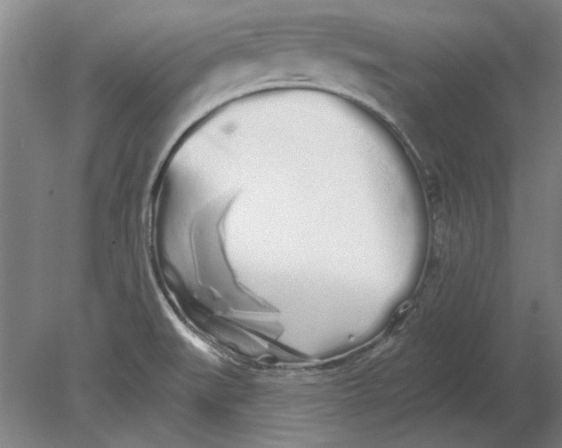 X0000080671519200701050955