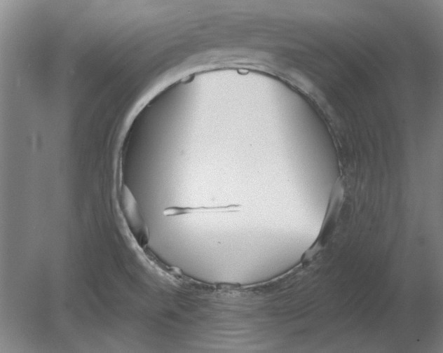 X0000080671520200701050955