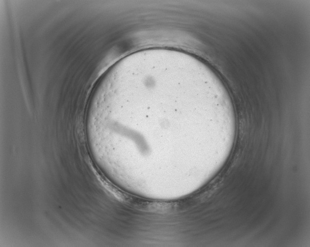 X0000080671521200701050955