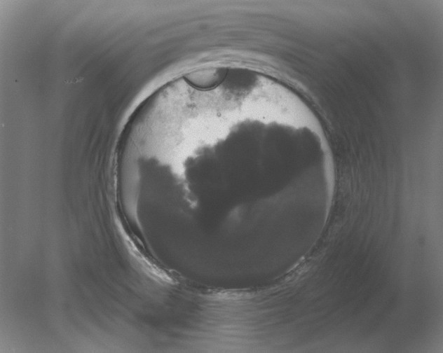 X0000080671522200701050955