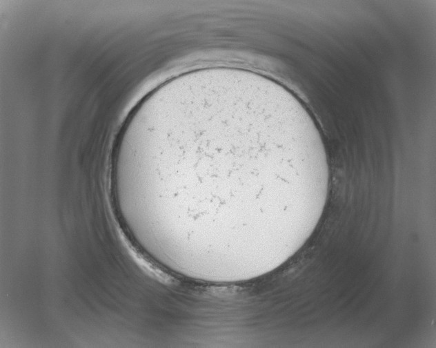 X0000080671523200701050955