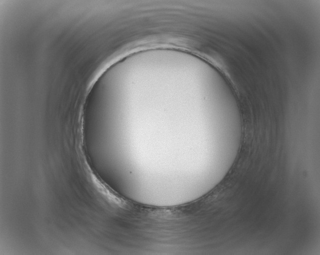 X0000080671524200701050955