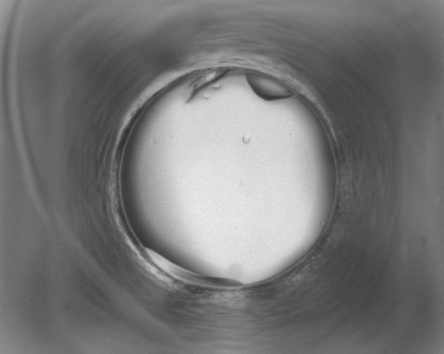 X0000080671525200701050955