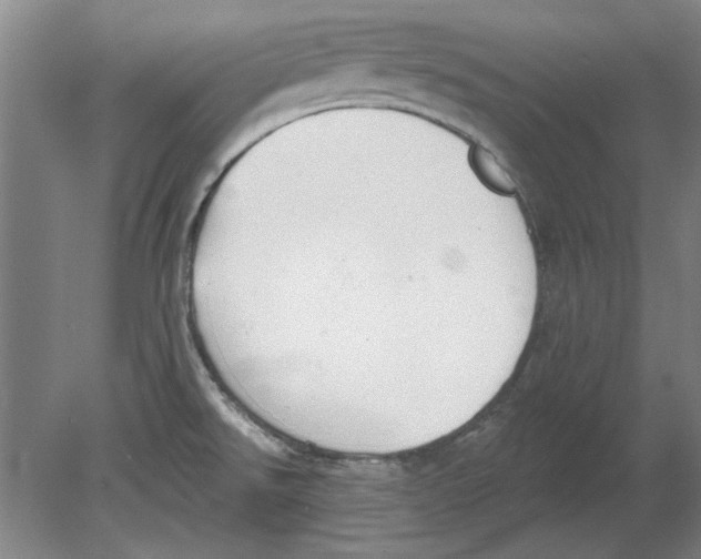 X0000080671526200701050955