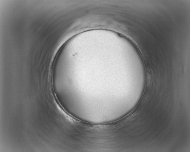 X0000080671527200701050955