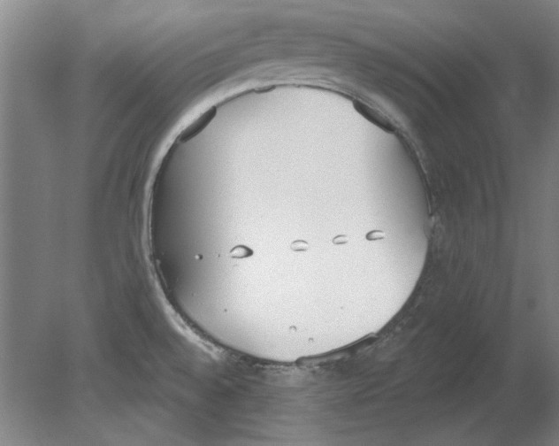 X0000080671528200701050955