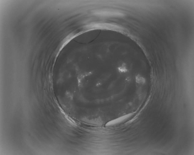 X0000080671529200701050955