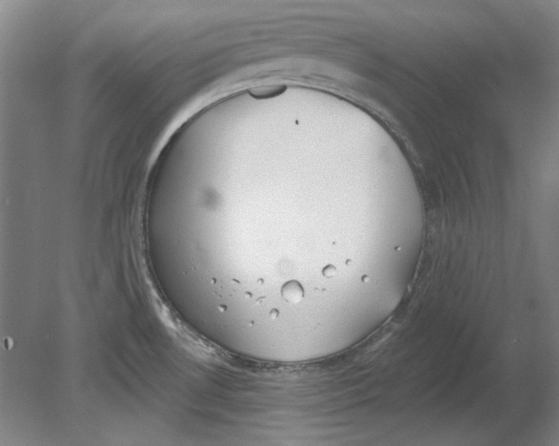 X0000080671530200701050955