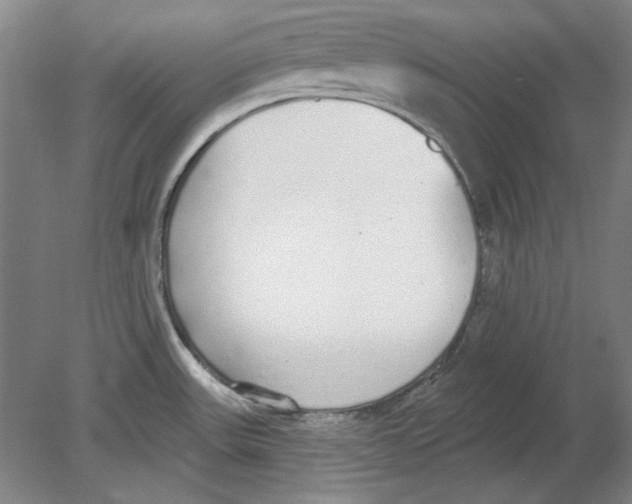 X0000080671531200701050955