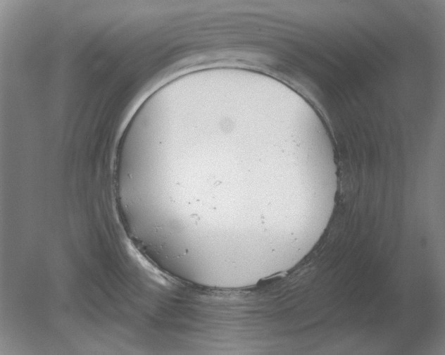 X0000080671532200701050955