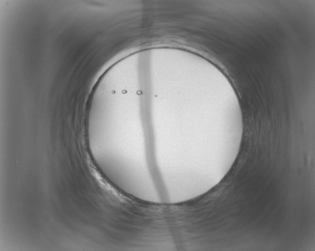 X0000080671534200701050955