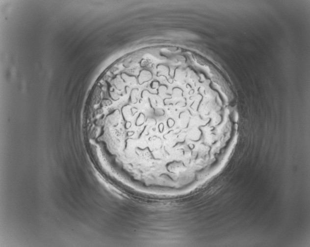 X0000080671535200701050955