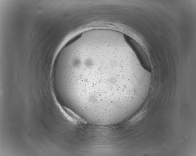 X0000080671536200701050955