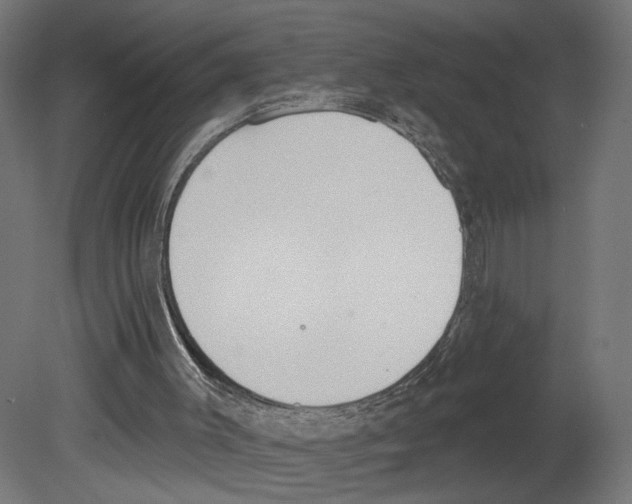 X0000080670003200701121645