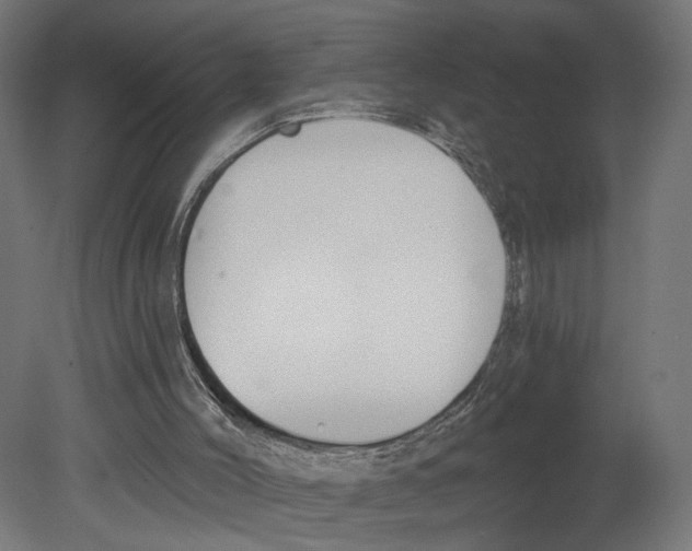 X0000080670004200701121645