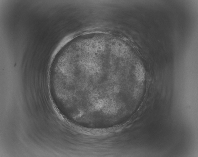 X0000080670006200701121645