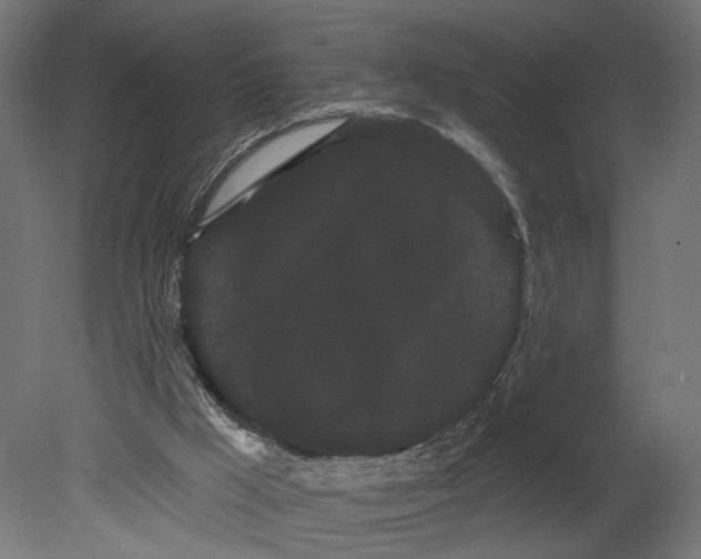 X0000080670009200701121644