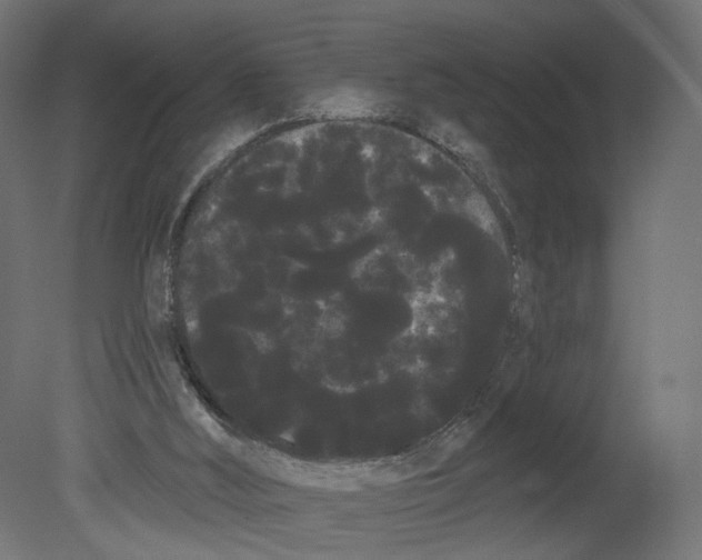 X0000080670012200701121644