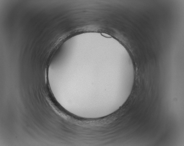 X0000080670013200701121644