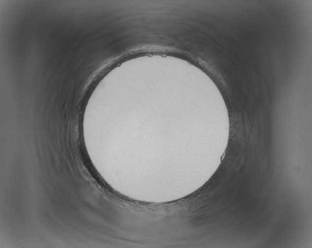 X0000080670015200701121644