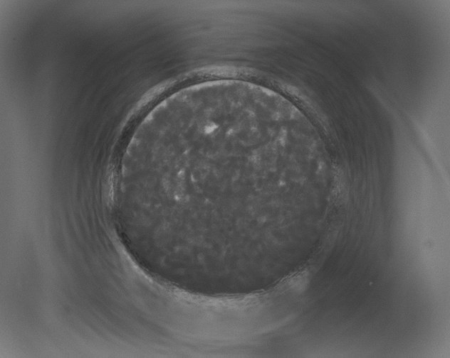 X0000080670016200701121644