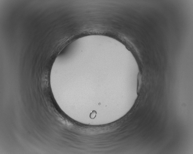 X0000080670017200701121644