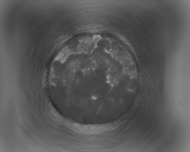 X0000080670018200701121644