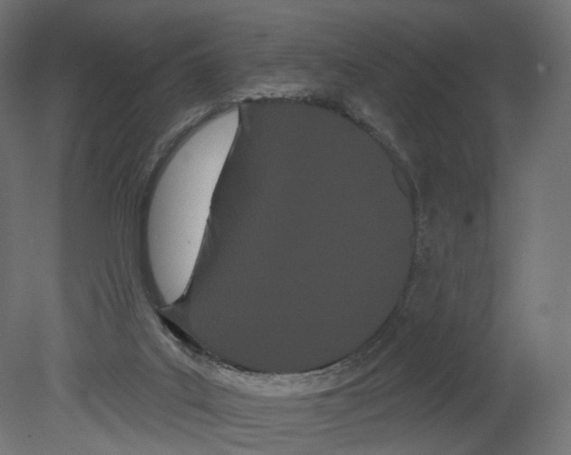 X0000080670019200701121644