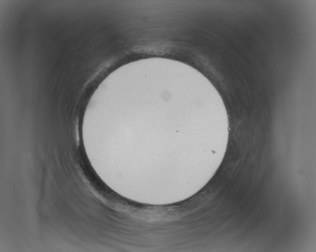 X0000080670020200701121644