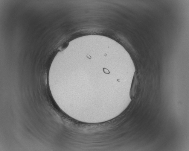 X0000080670021200701121644