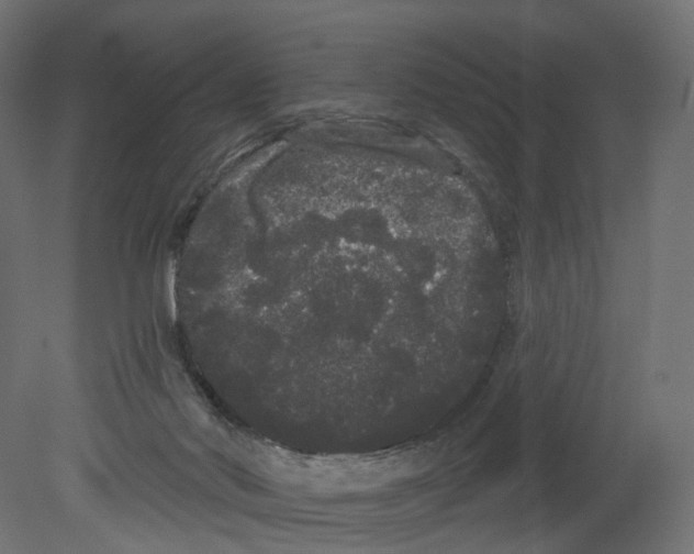 X0000080670022200701121644