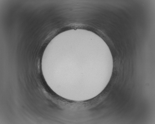 X0000080670024200701121644