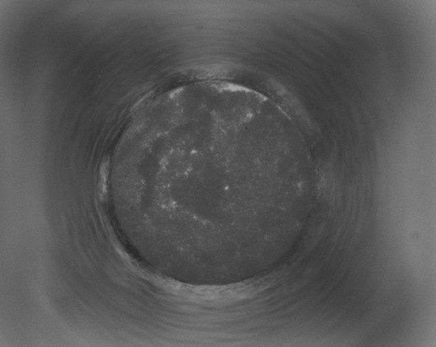 X0000080670026200701121644