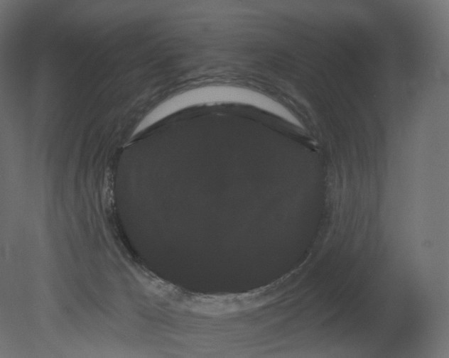 X0000080670029200701121644