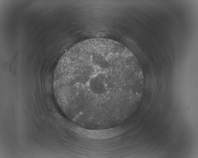 X0000080670030200701121644