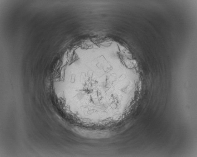 X0000080670032200701121644