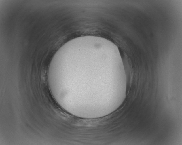 X0000080670033200701121644