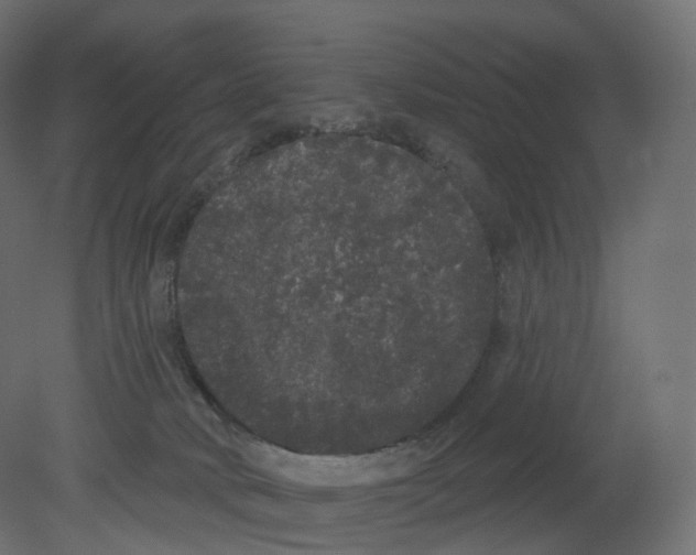 X0000080670034200701121644