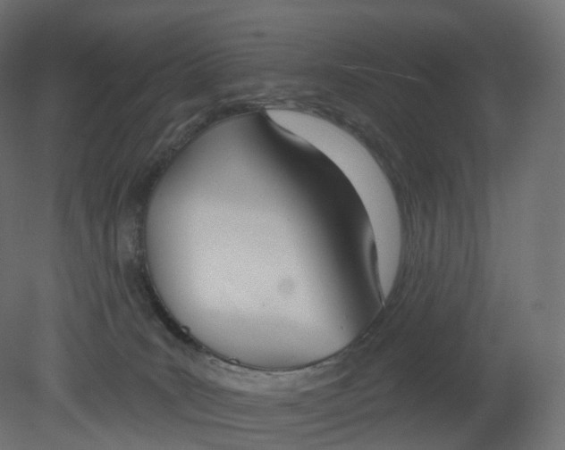 X0000080670035200701121644