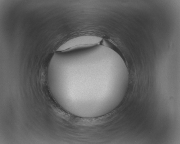 X0000080670037200701121644